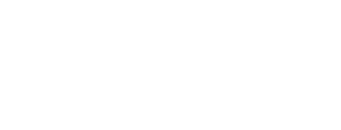 Chain Link